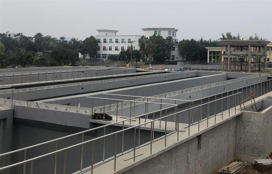 AG Club | The Originator of Live Casino