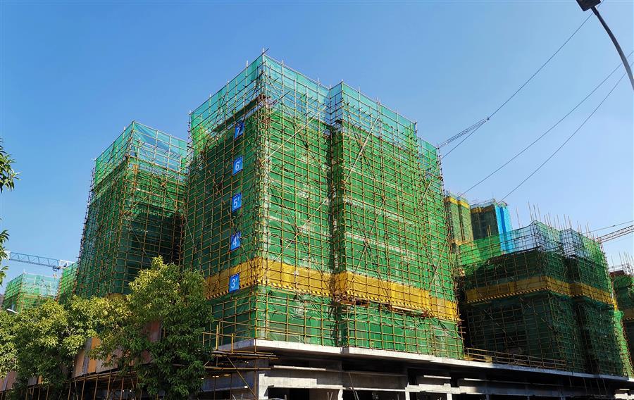 AG Club | The Originator of Live Casino