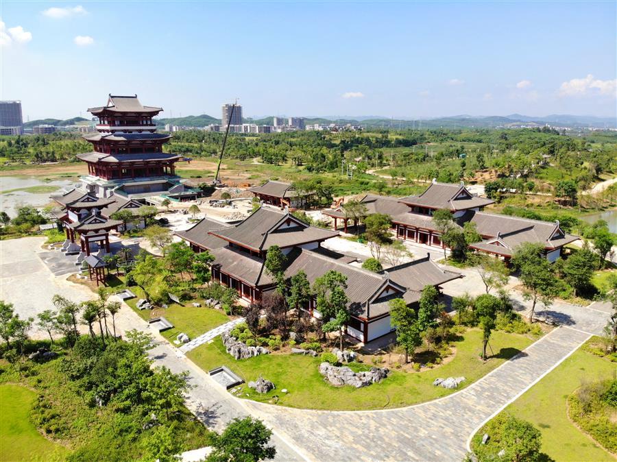 AG Club | The Originator of Live Casino