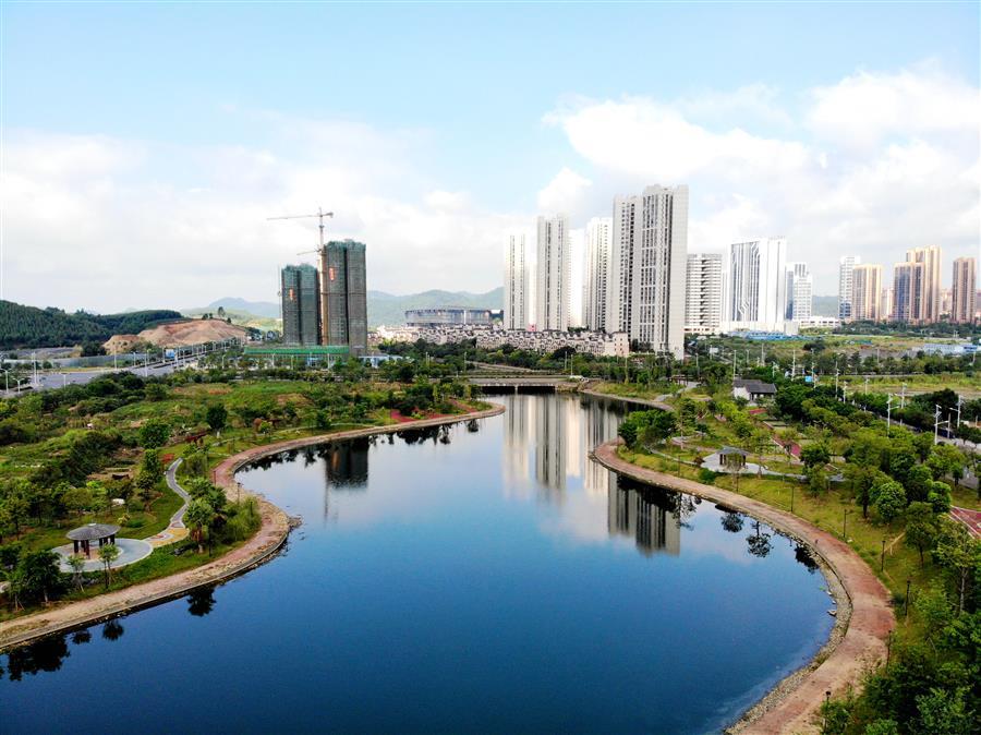 AG Club | The Originator of Live Casino