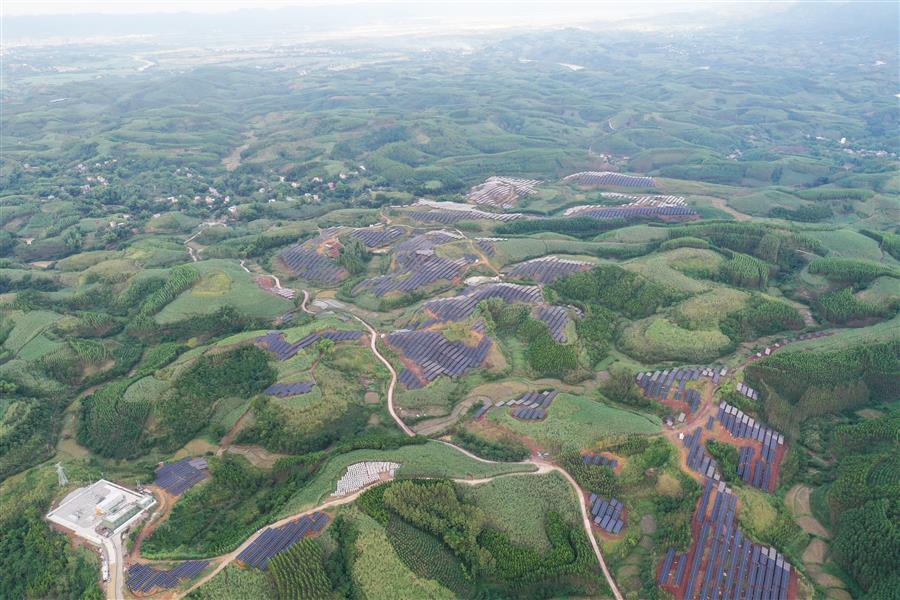 AG Club | The Originator of Live Casino