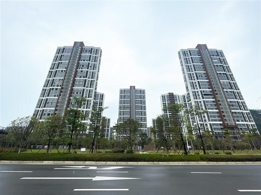 AG Club | The Originator of Live Casino