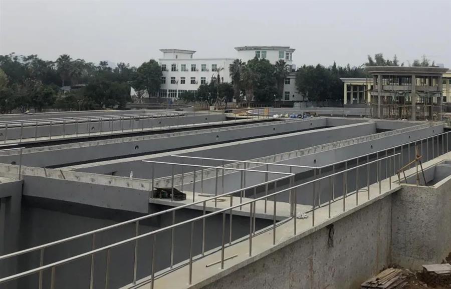 AG Club | The Originator of Live Casino