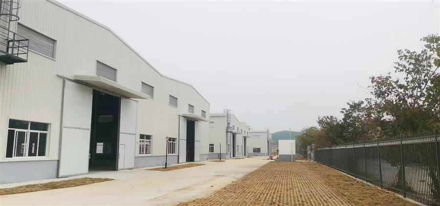 AG Club | The Originator of Live Casino