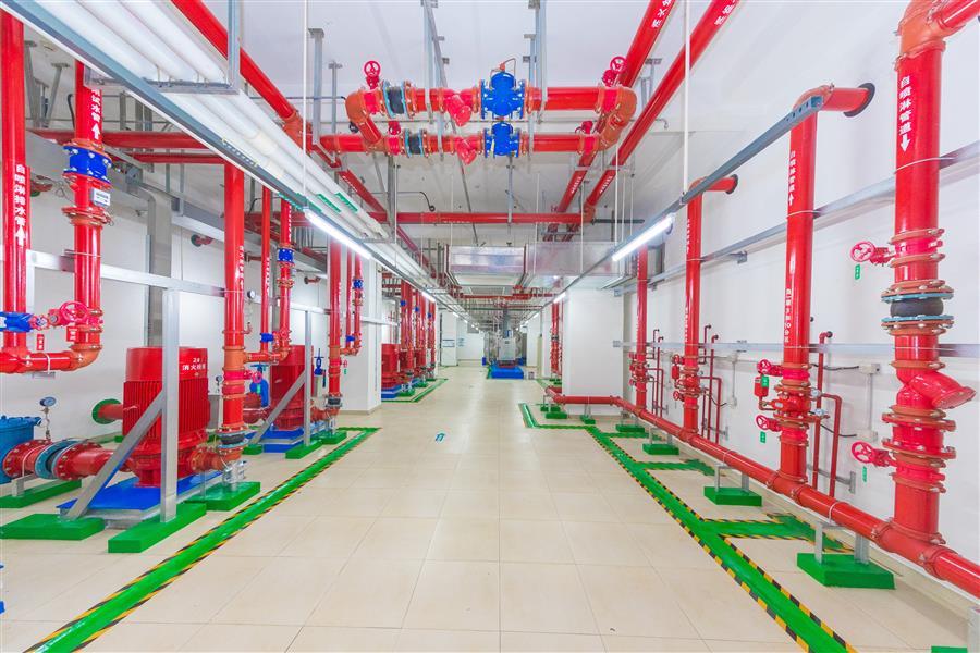 AG Club | The Originator of Live Casino