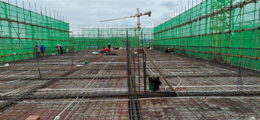 AG Club | The Originator of Live Casino