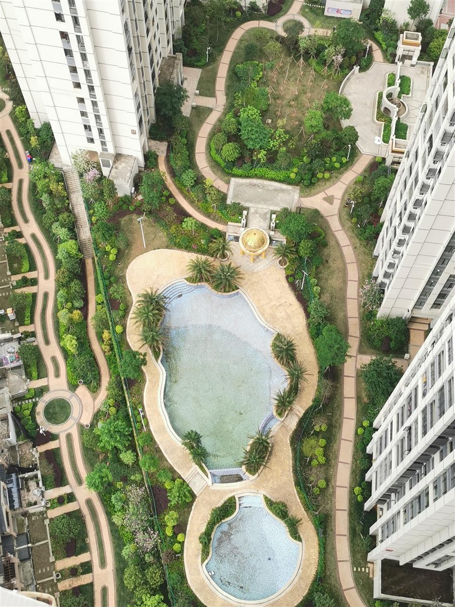 AG Club | The Originator of Live Casino