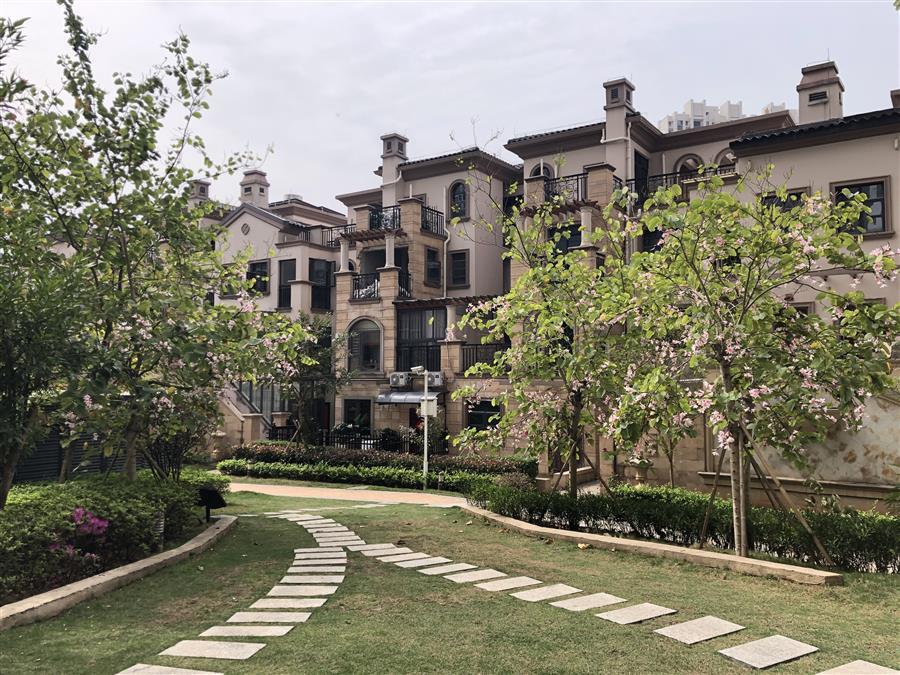 AG Club | The Originator of Live Casino