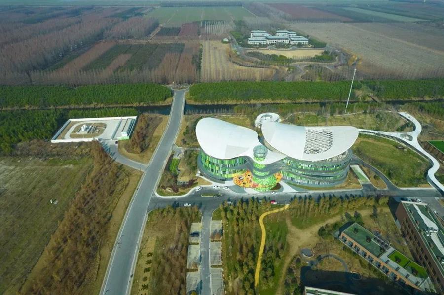 AG Club | The Originator of Live Casino