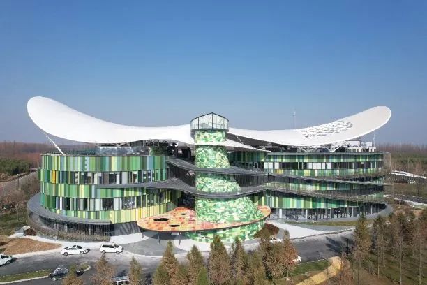 AG Club | The Originator of Live Casino