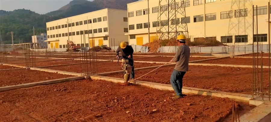 AG Club | The Originator of Live Casino