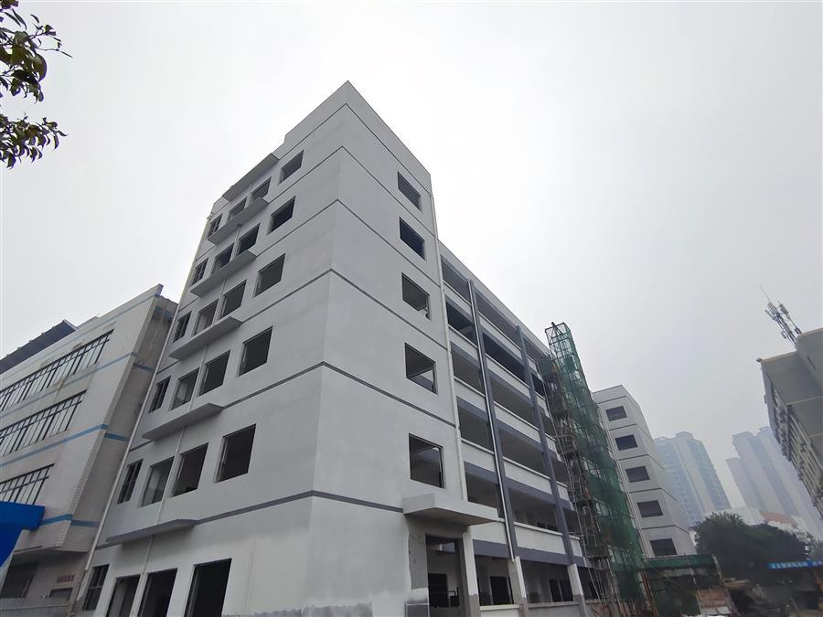 AG Club | The Originator of Live Casino