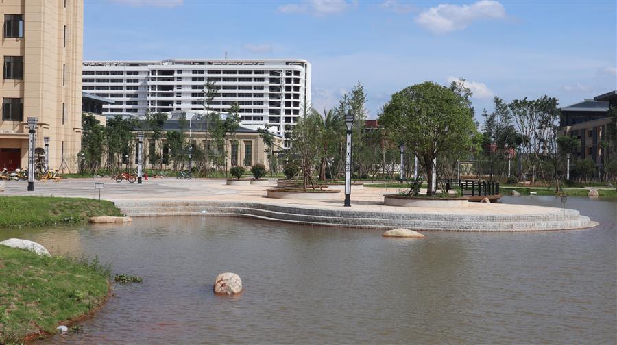 AG Club | The Originator of Live Casino