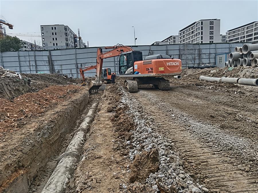 AG Club | The Originator of Live Casino