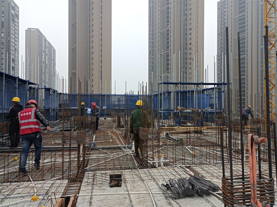 AG Club | The Originator of Live Casino