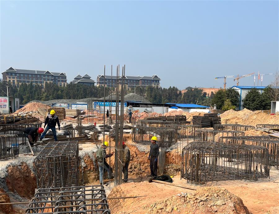 AG Club | The Originator of Live Casino