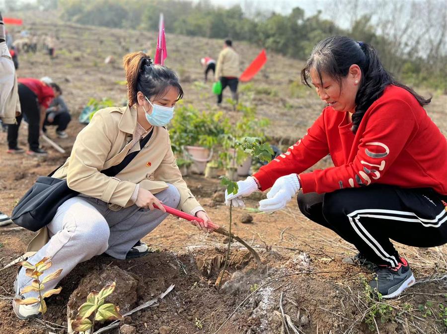 AG Club | The Originator of Live Casino