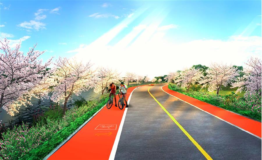 AG Club | The Originator of Live Casino