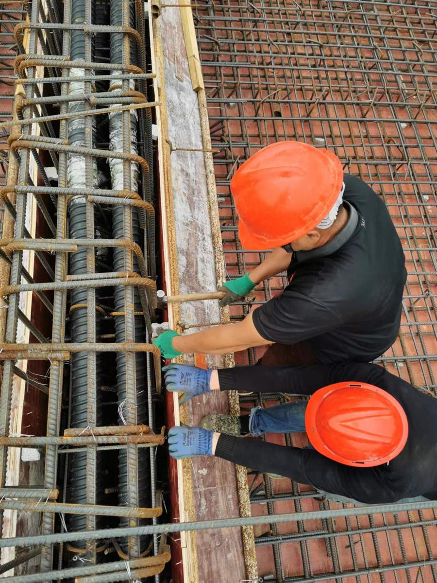 AG Club | The Originator of Live Casino