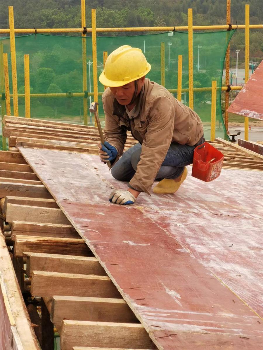 AG Club | The Originator of Live Casino