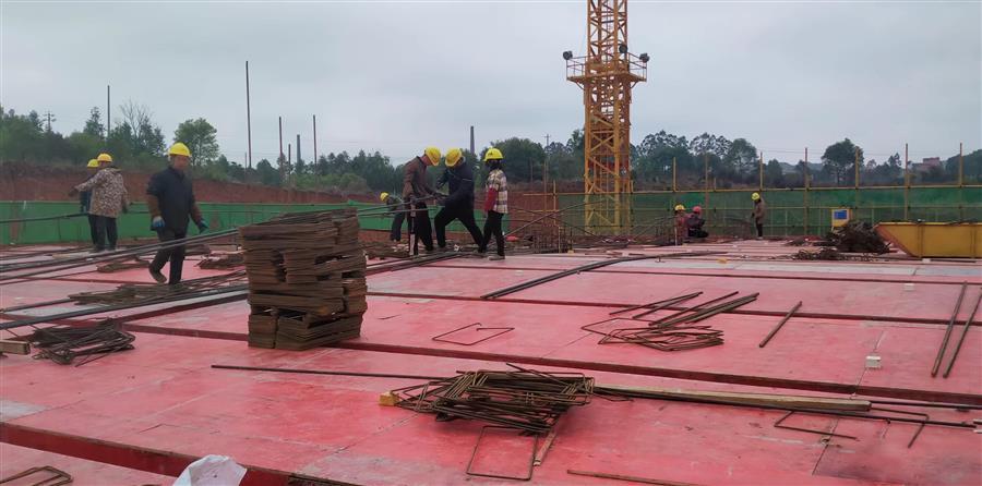 AG Club | The Originator of Live Casino