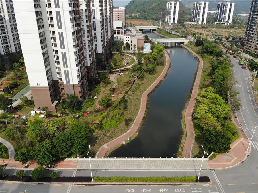 AG Club | The Originator of Live Casino