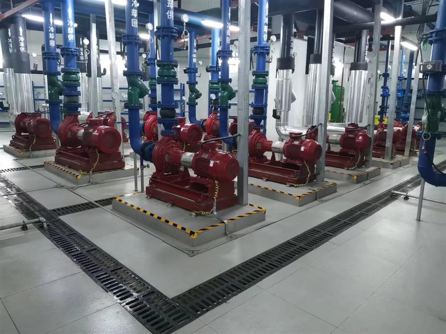 AG Club | The Originator of Live Casino