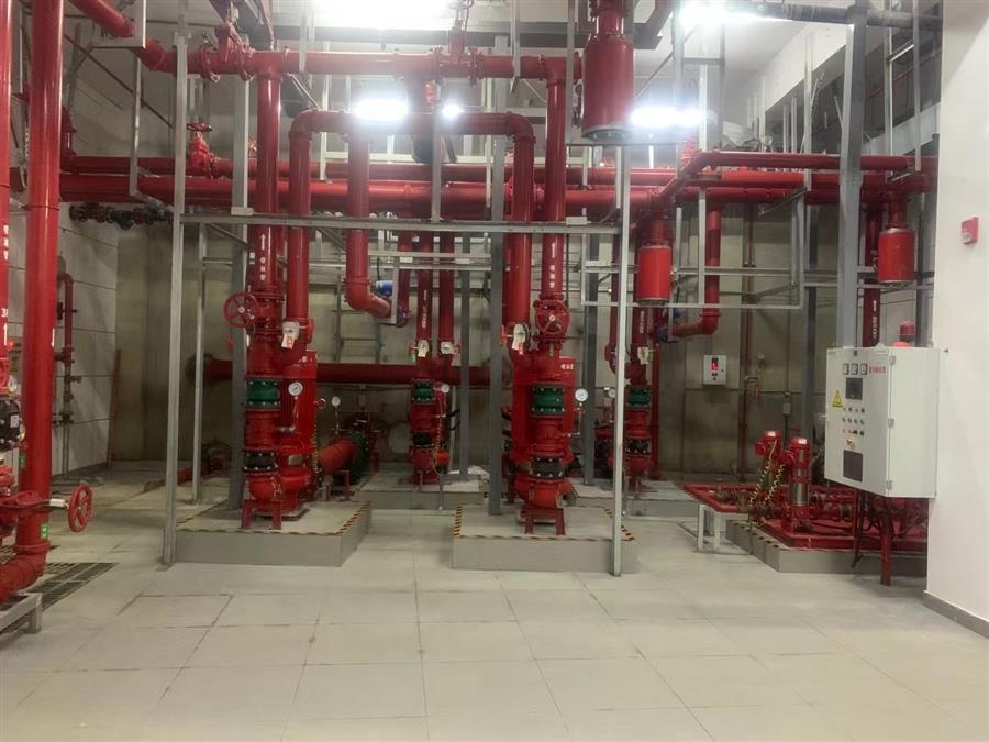 AG Club | The Originator of Live Casino