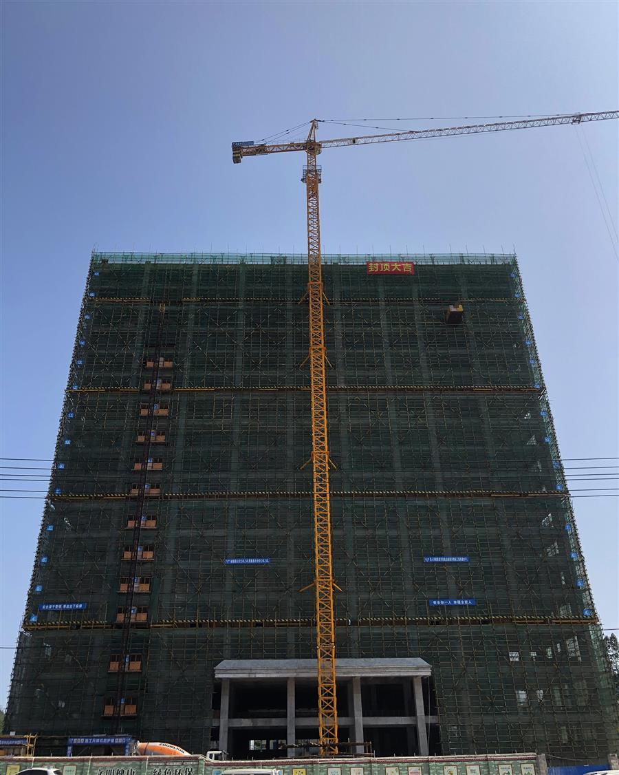 AG Club | The Originator of Live Casino