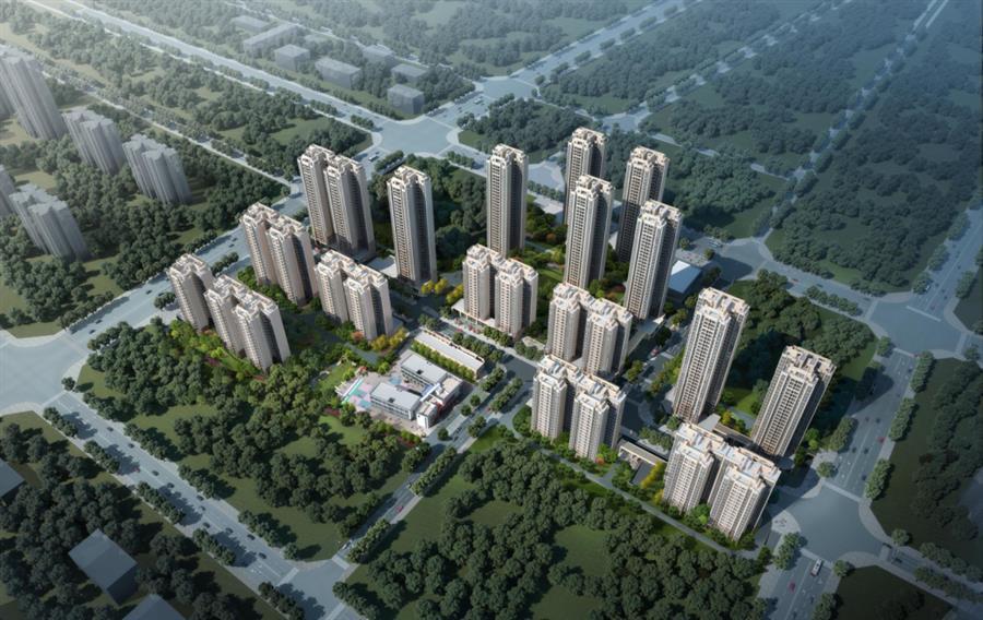 AG Club | The Originator of Live Casino