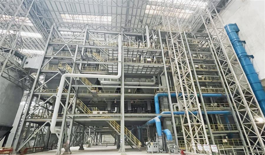 AG Club | The Originator of Live Casino