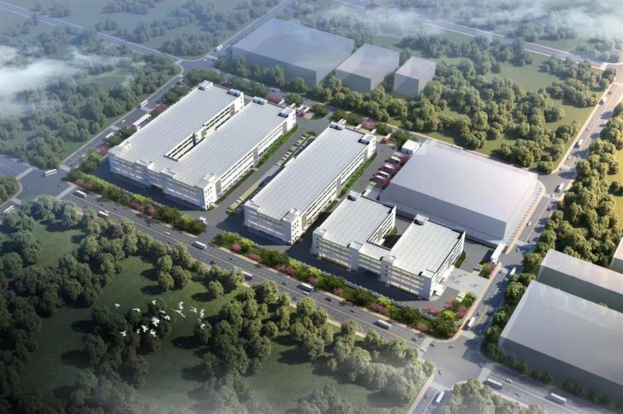 AG Club | The Originator of Live Casino