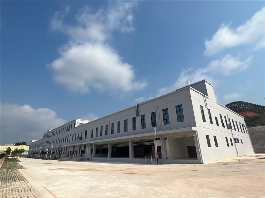 AG Club | The Originator of Live Casino