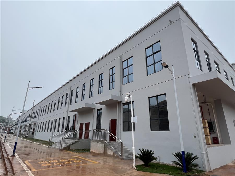 AG Club | The Originator of Live Casino