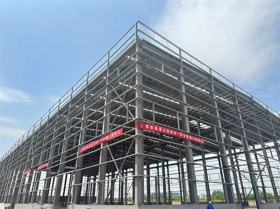 AG Club | The Originator of Live Casino