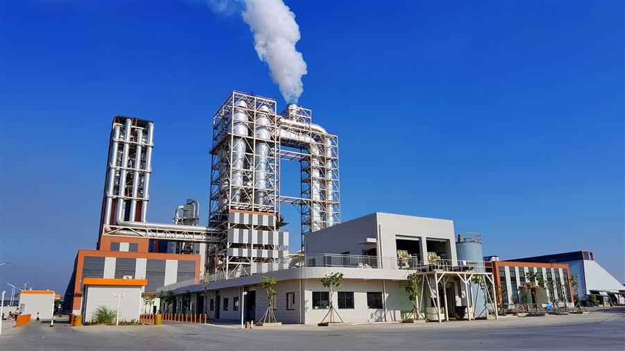 AG Club | The Originator of Live Casino