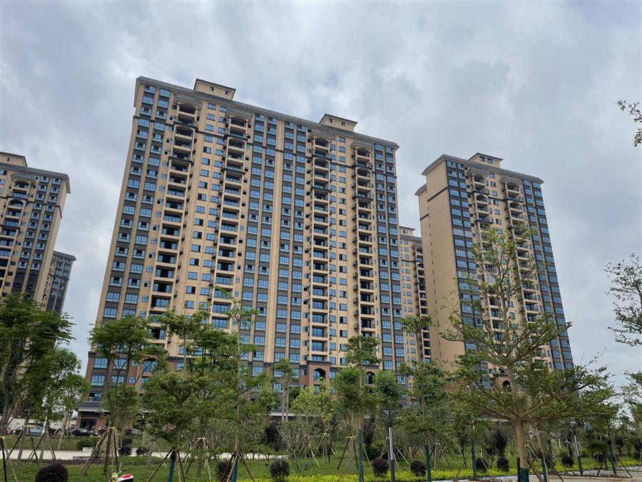 AG Club | The Originator of Live Casino