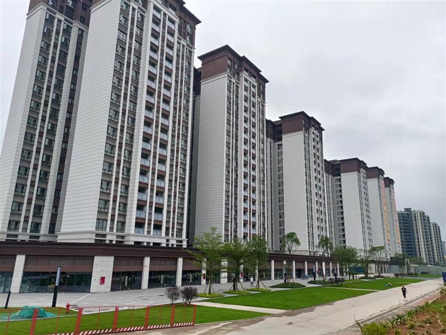 AG Club | The Originator of Live Casino