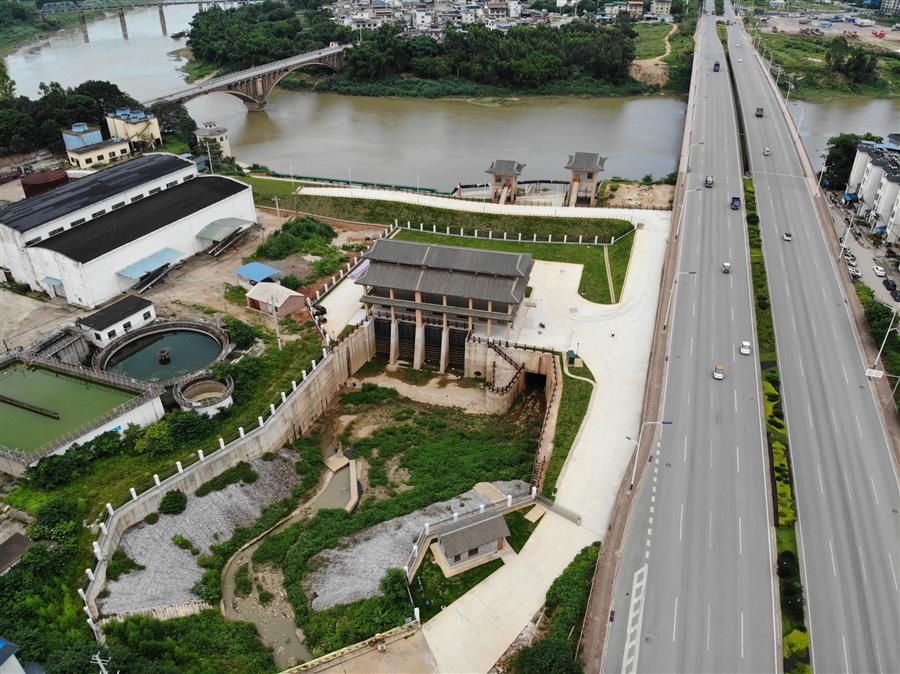 AG Club | The Originator of Live Casino