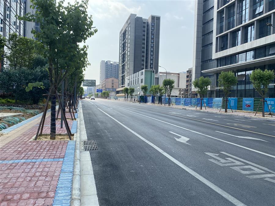 AG Club | The Originator of Live Casino