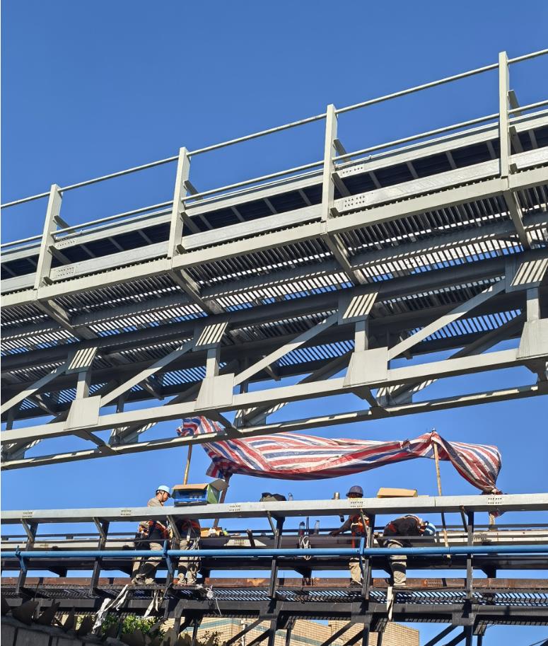 AG Club | The Originator of Live Casino