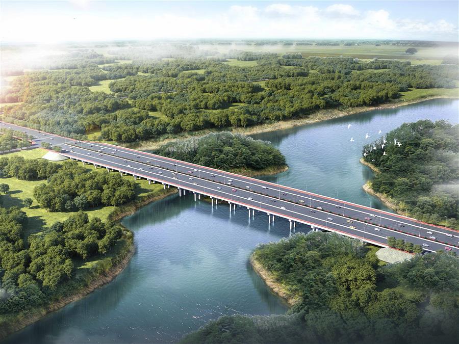 AG Club | The Originator of Live Casino