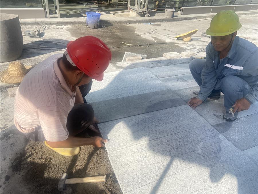 AG Club | The Originator of Live Casino