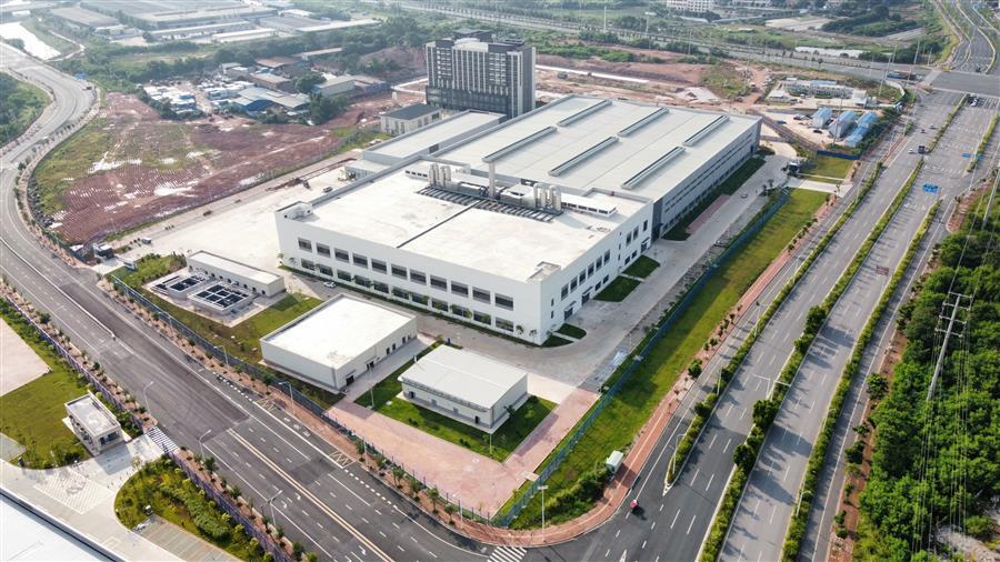 AG Club | The Originator of Live Casino