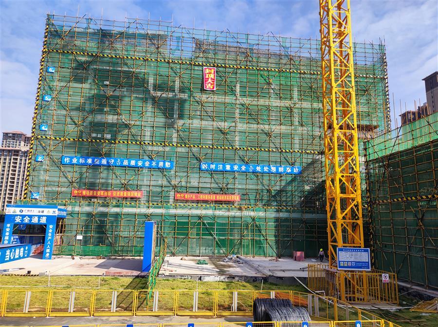 AG Club | The Originator of Live Casino