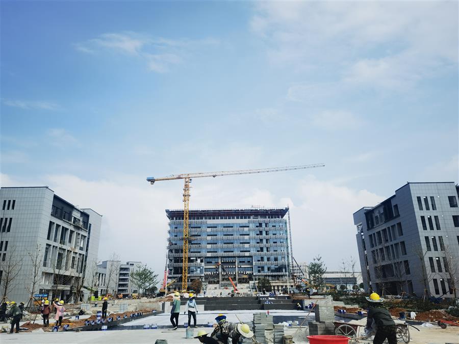 AG Club | The Originator of Live Casino