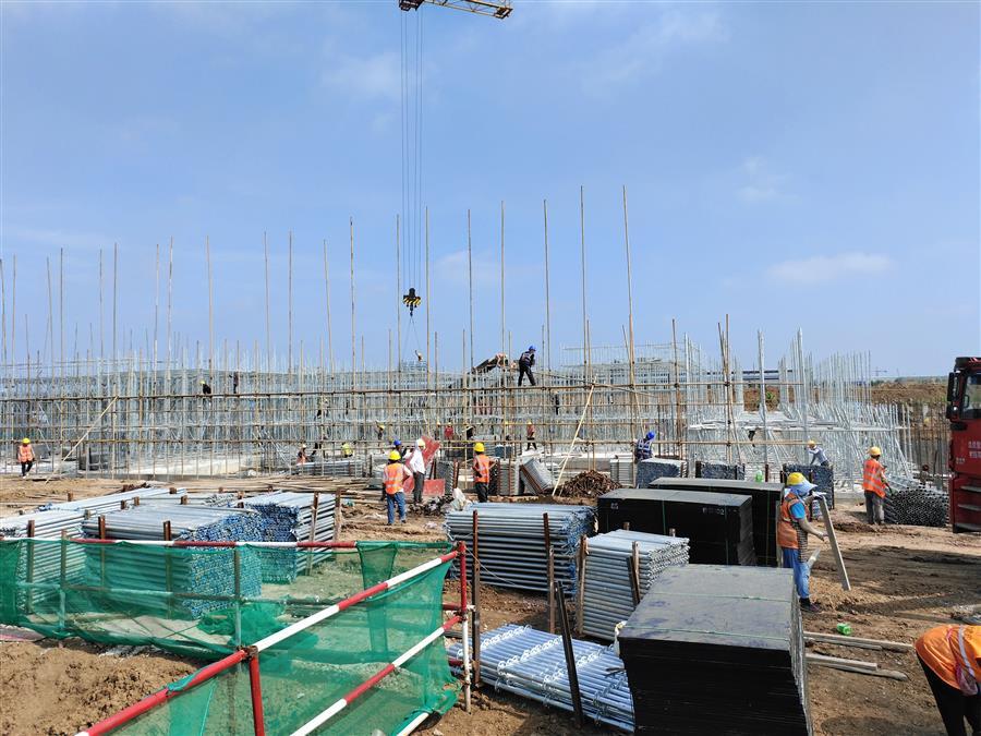 AG Club | The Originator of Live Casino