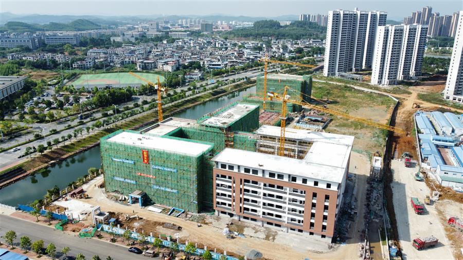 AG Club | The Originator of Live Casino