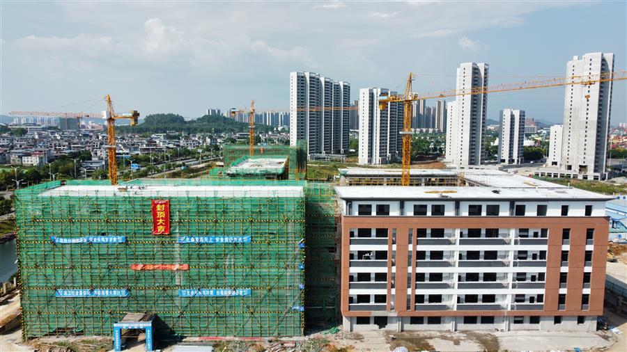 AG Club | The Originator of Live Casino