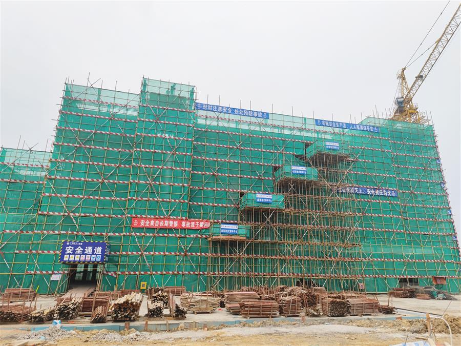 AG Club | The Originator of Live Casino